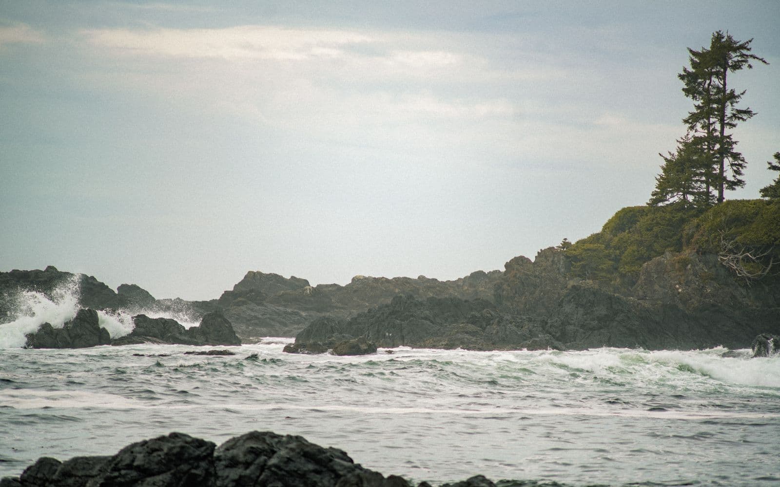 48 Hours in Ucluelet