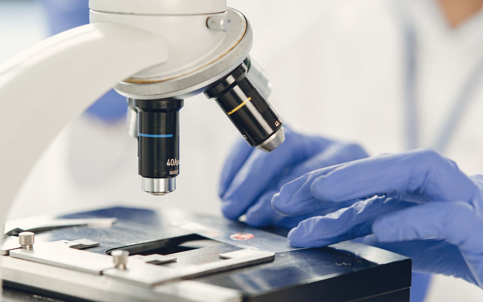 Autophagy: The Nobel-Winning Science of Cellular Self-Renewal — and What Fasting Really Does