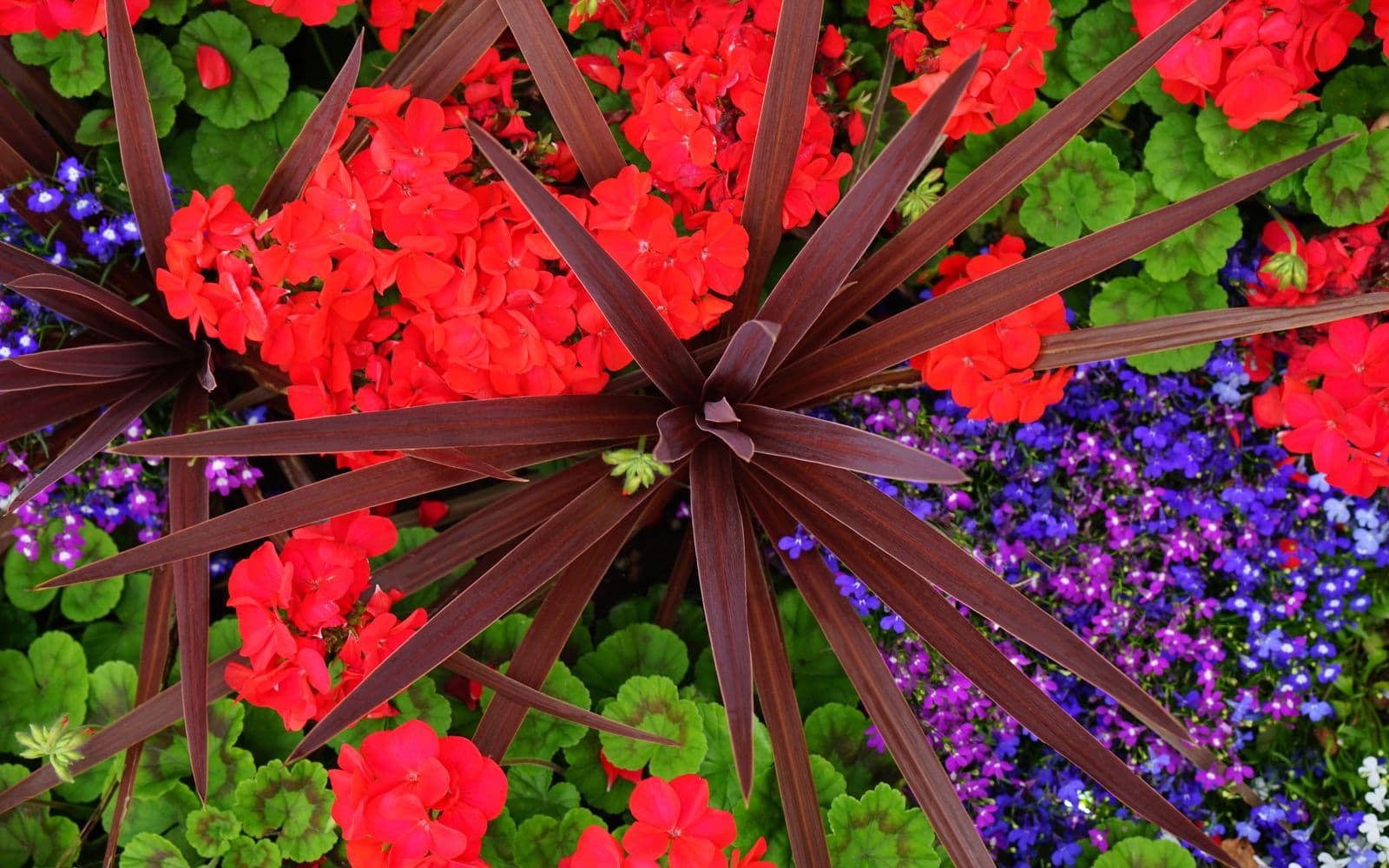 Butchart Gardens: Tourist Trap or Actually Worth It?