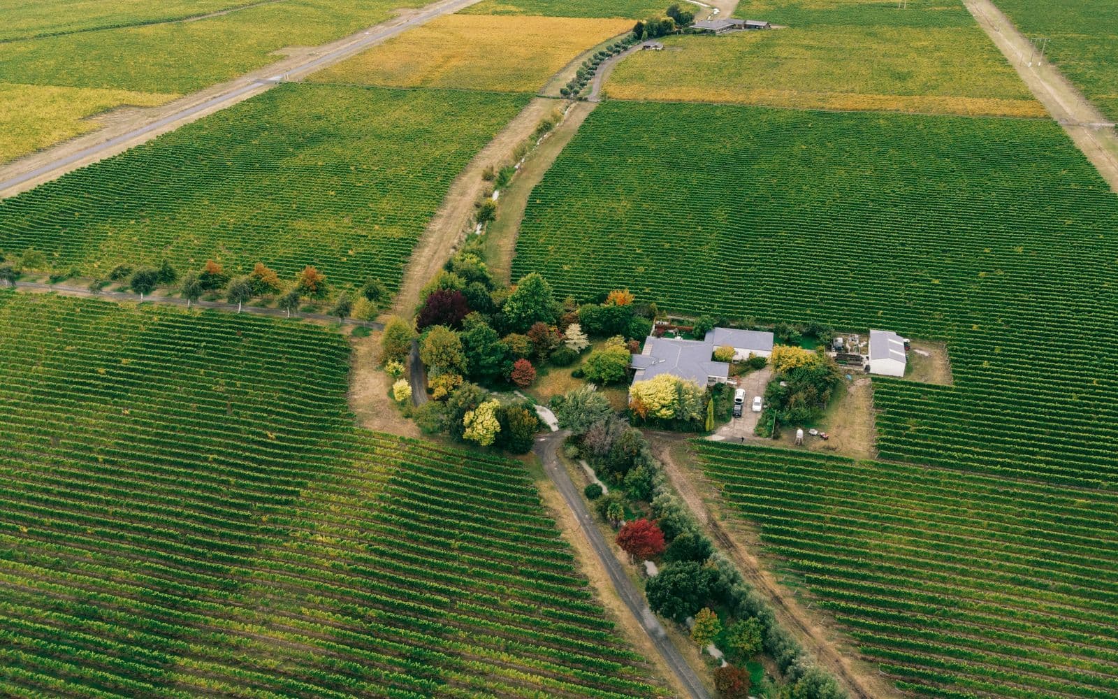 Cowichan Wine Country: Worth the Detour?