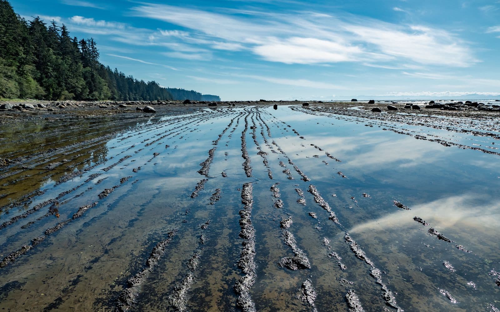 How Many Days Do You Actually Need on Vancouver Island?