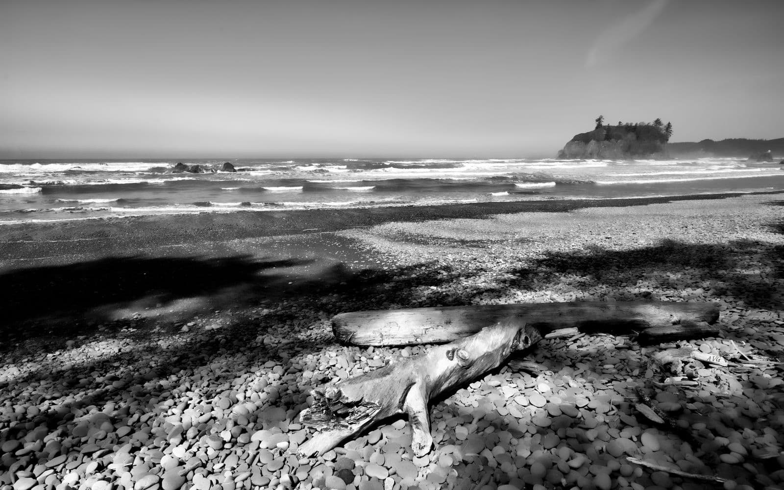 The Best Moody Beaches Near Victoria