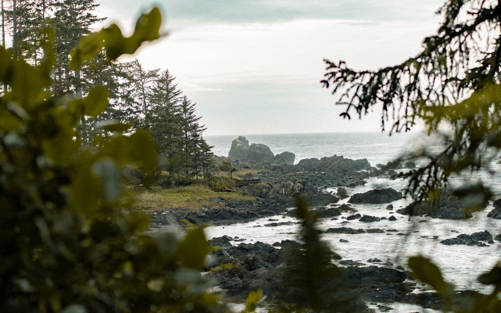 Worth the Drive? The Pacific Marine Circle Route