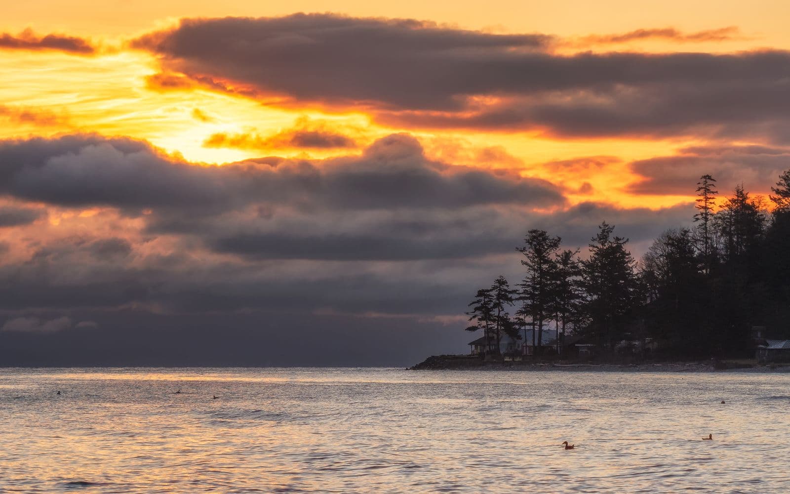 Planning a Vancouver Island Trip? Start Here