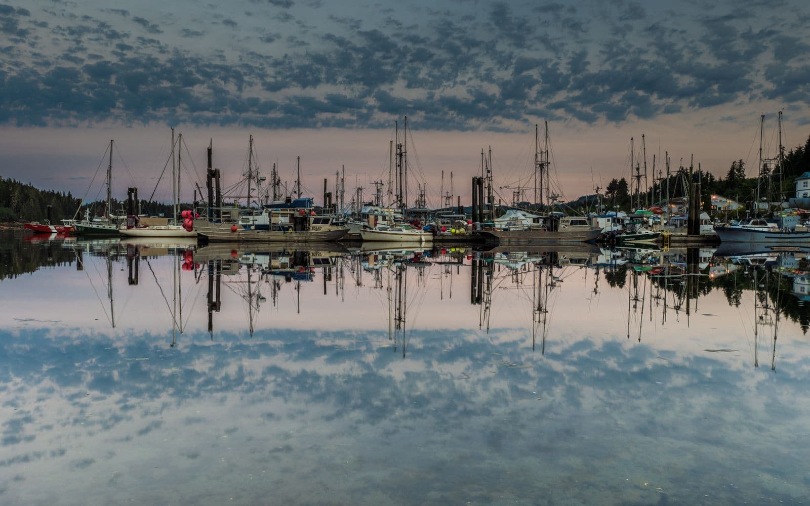 Worth the Drive? All the Way to Port Hardy