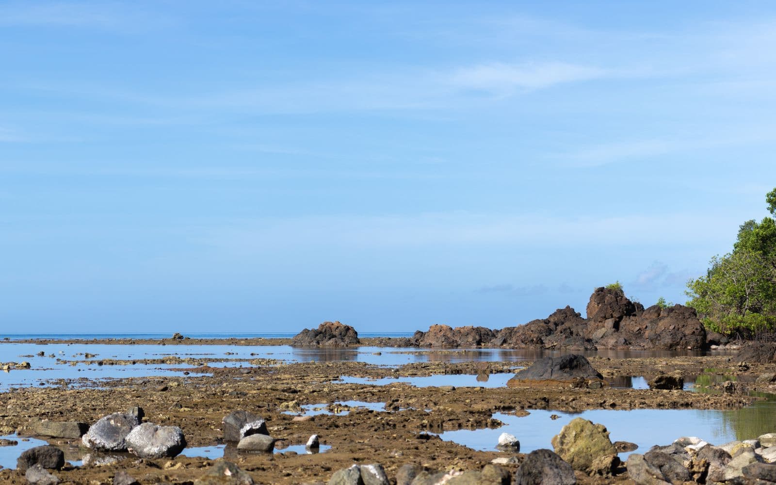 Wild-Coast Lovers: Port Renfrew and Botanical Beach