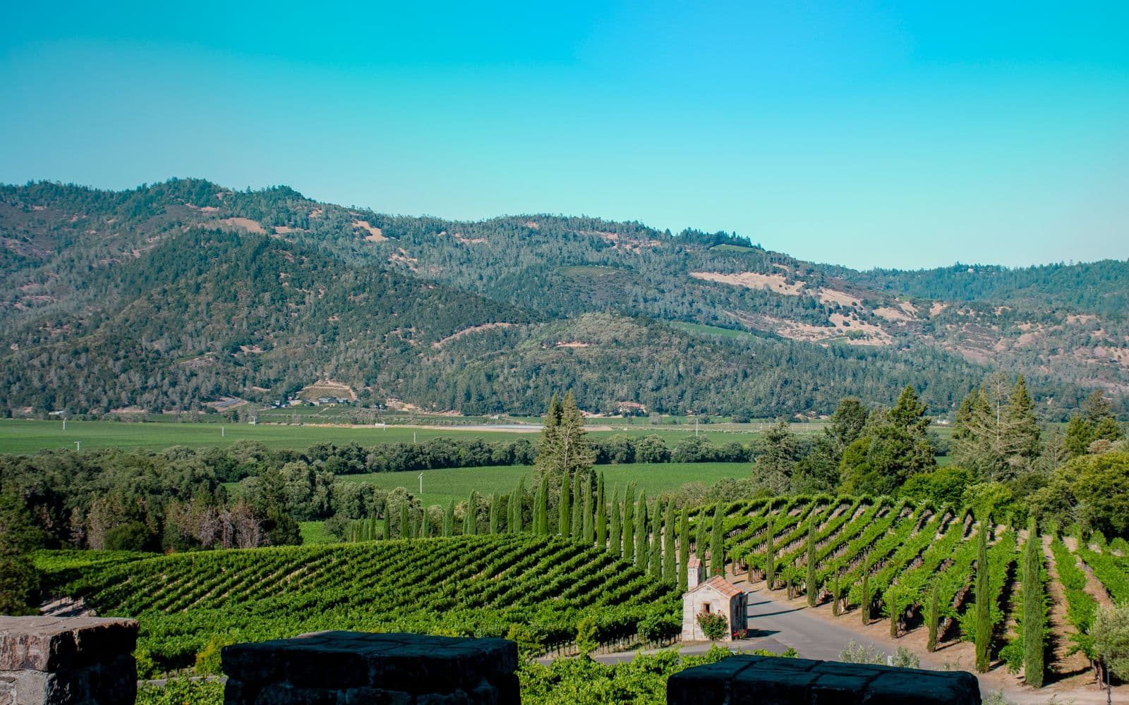 A Slow Weekend in the Cowichan Valley