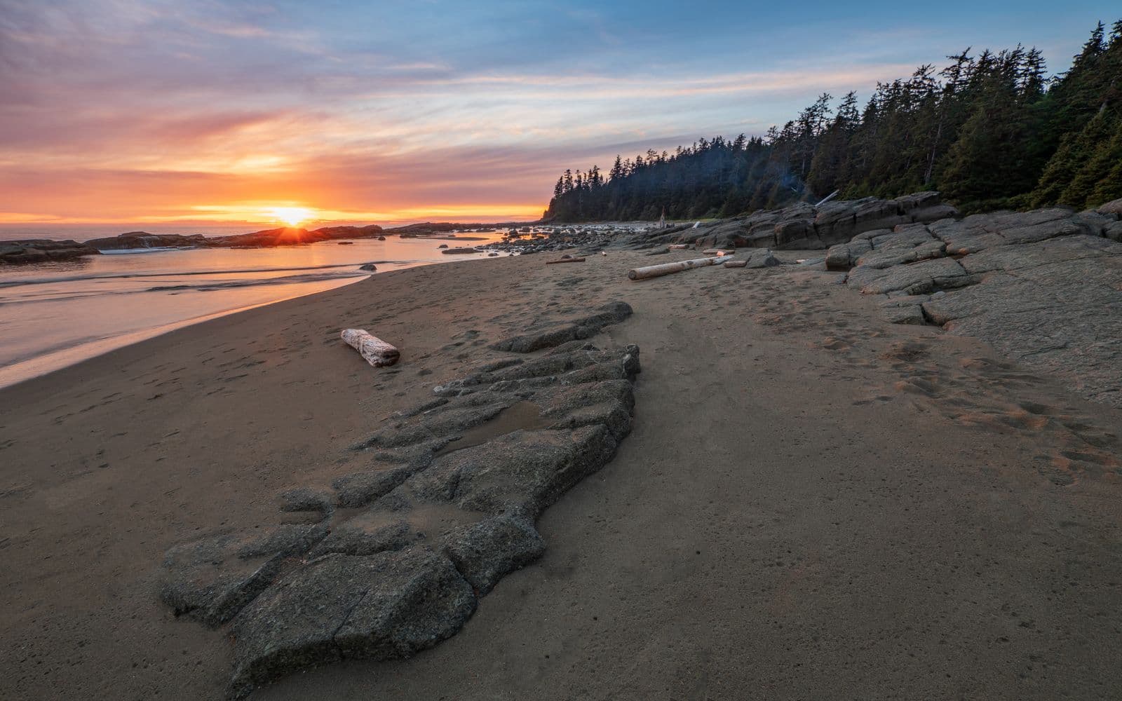 The One-Weekend Mistake: Why You Can't Do Victoria, Tofino and Nanaimo at Once