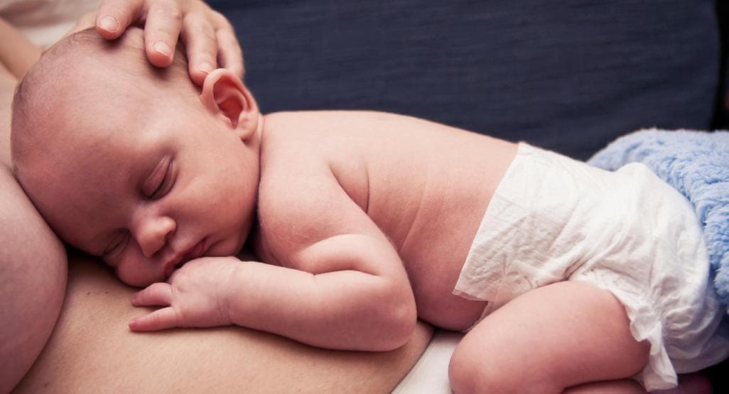 Cover image for “Babies From Birth to Six Months”