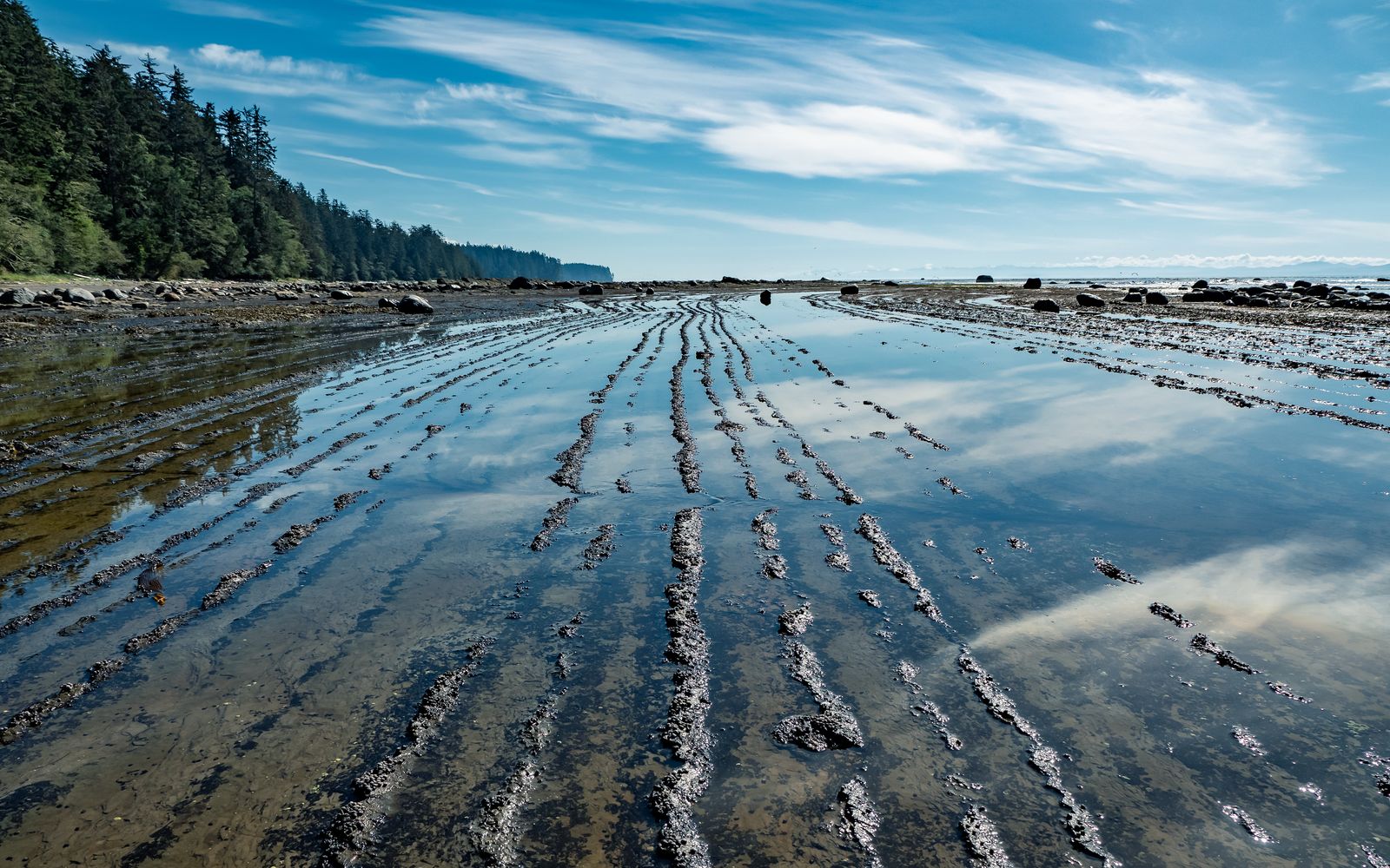 How Many Days Do You Actually Need on Vancouver Island?